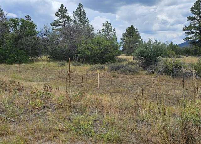 Property at 19 E Crescent Ct, Pagosa Springs, CO 81147