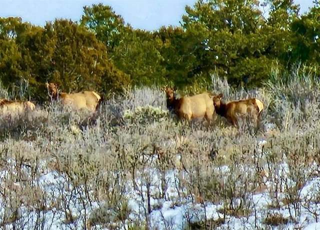 Property at 000 Cr K Rd Unit Cross Creek Canyon Ranch, Dove Creek, CO 81324