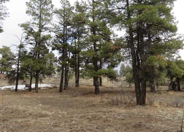 Property at 1084 County Rd 600, Pagosa Springs, CO 81147