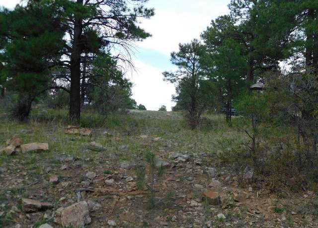 Property at 49 Masters Cir, Pagosa Springs, CO 81147