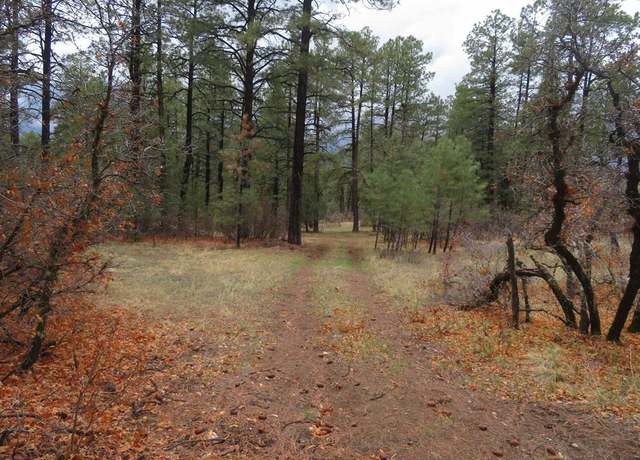 Property at 90 Harry's Ct, Pagosa Springs, CO 81147