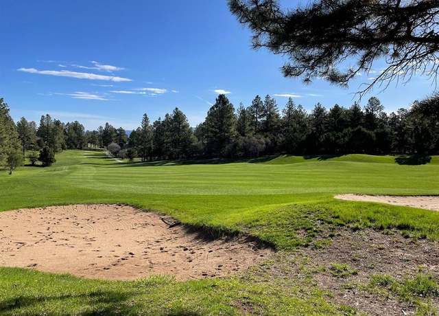 Property at Lot 438 S Badger Trl, Ridgway, CO 81432