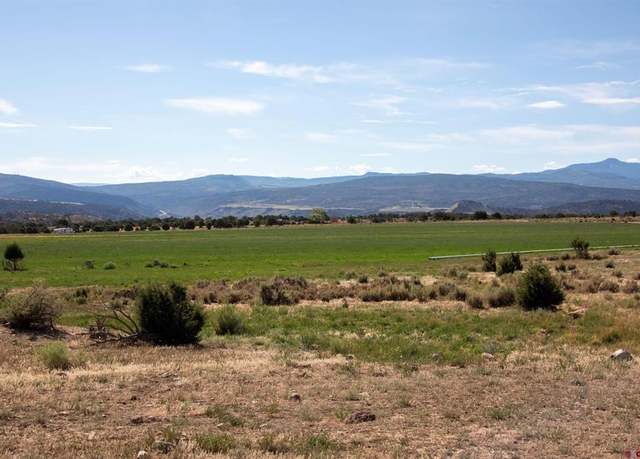 Property at TBD Tract 13 Bostwick Park Rd, Montrose, CO 81403