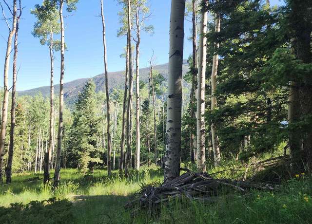 Property at TBD Blk 84 Lots 1-3, Jasper, CO 81144