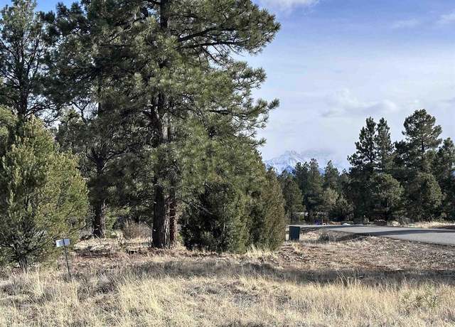 Property at 1960 Marmot Dr, Ridgway, CO 81432