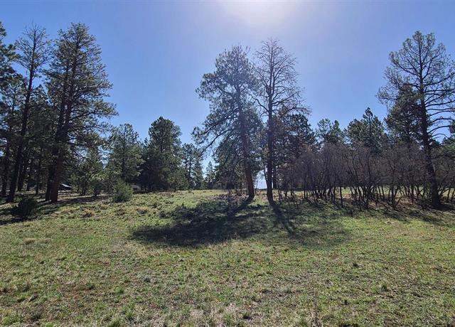 Property at 225 Badger Trl, Ridgway, CO 81432