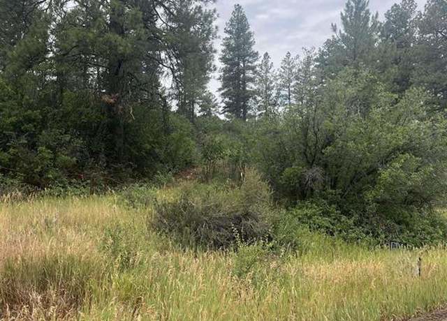 Property at 181 River Run Dr, Pagosa Springs, CO 81147