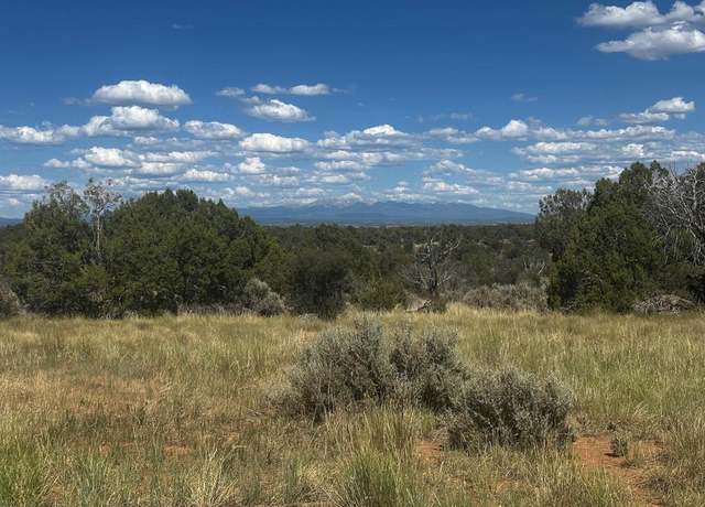Property at TBD Road 15, Yellow Jacket, CO 81335