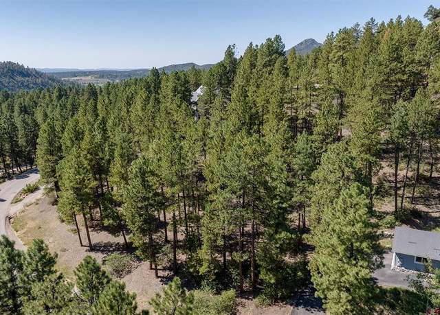 Property at 398 Iron King, Durango, CO 81301