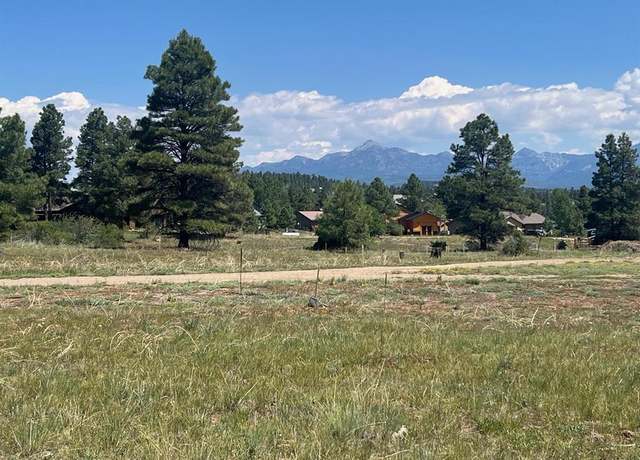 Property at 44 Shelter Pl, Pagosa Springs, CO 81147