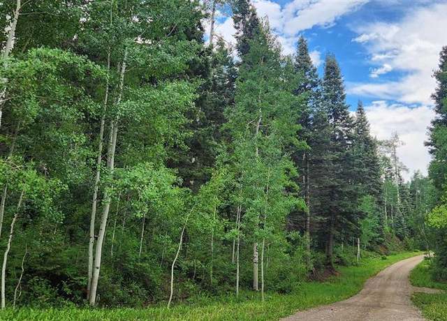 Property at 454 Mccoy Creek Dr, Durango, CO 81301