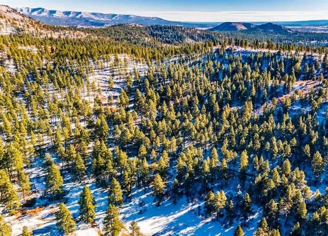 Property at TBD Lot 13 Beaver Creek Dr, Bayfield, CO 81122