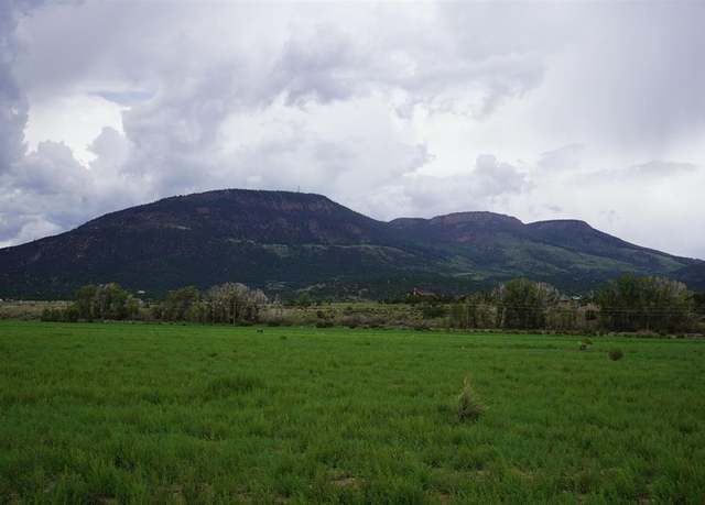 Property at 1840 River Island Dr, South Fork, CO 81154