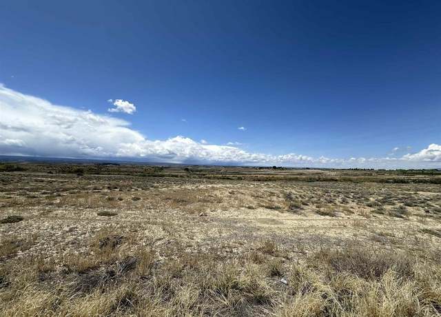 Property at TBD (Lot 1) 6200 Rd, Montrose, CO 81401