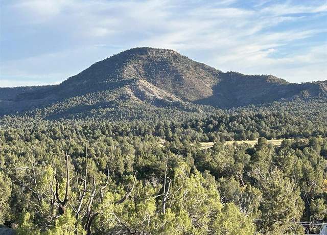 Property at 2519 Green Shadows Rd, Durango, CO 81303