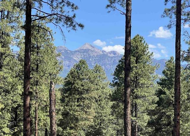 Property at Lot 11 Hidden Valley Dr, Pagosa Springs, CO 81147