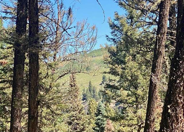 Property at 768 Deer Trl, Cimarron, CO 81220
