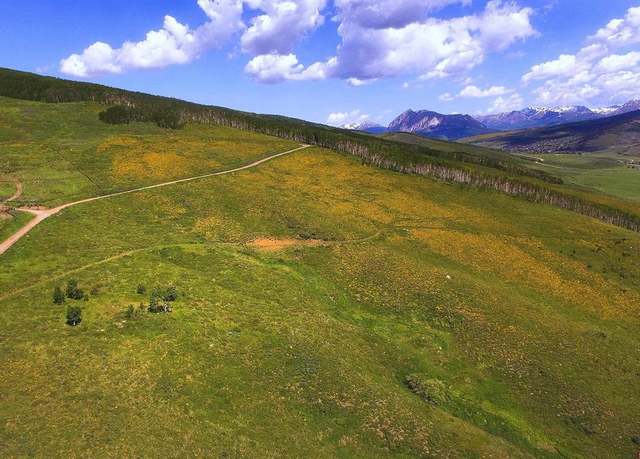 Property at 901 Red Mountain Rd, Almont, CO 81210