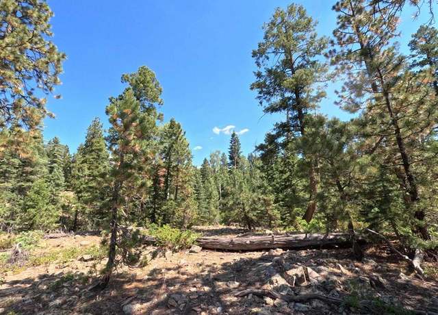 Property at 48 Ponderosa Way, Durango, CO 81301