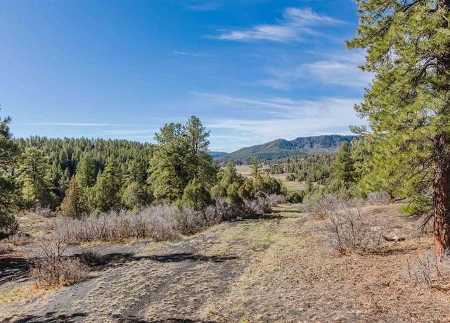Property at 402 Crestone Pl, Pagosa Springs, CO 81147