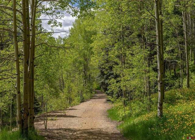 Property at Lot 6 Dolores River Trl, Rico, CO 81332