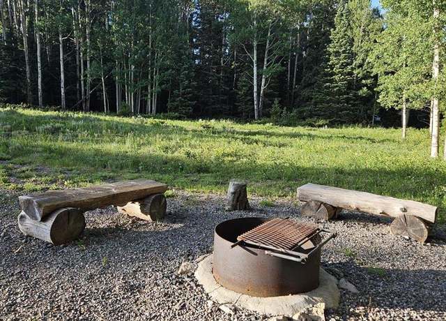 Property at 1205 Hazel Lake Dr, Cimarron, CO 81220