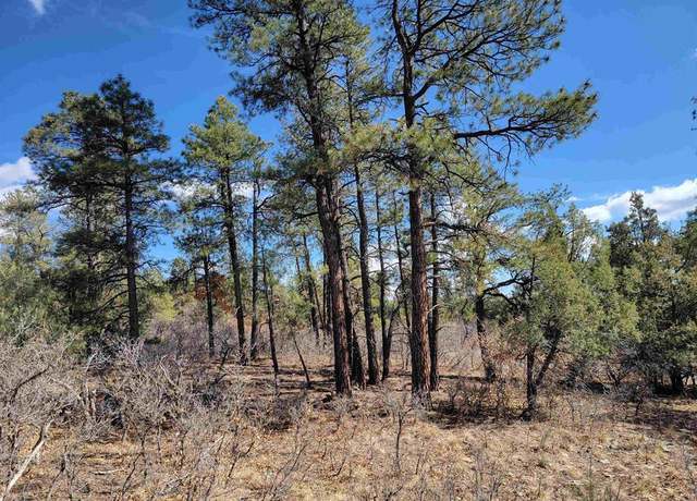 Property at 145 Rock Point Pl, Pagosa Springs, CO 81147