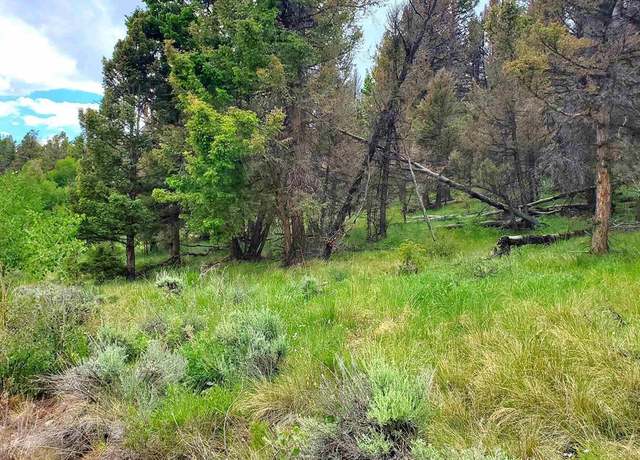 Property at 381 Monarch Rd, Powderhorn, CO 81243