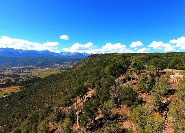Property at TBD Pine Dr, Ridgway, CO 81432