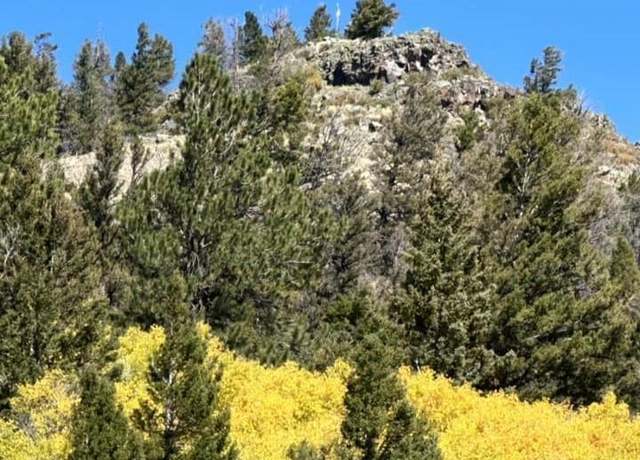 Property at 4462 County Road 25, Powderhorn, CO 81243