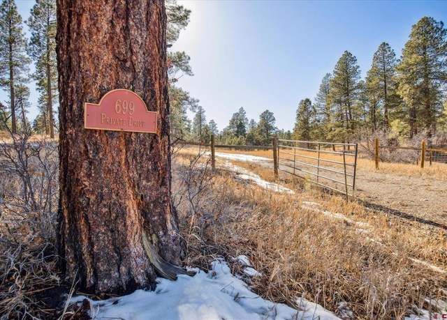 Property at 699 N Lakeside Dr, Durango, CO 81301