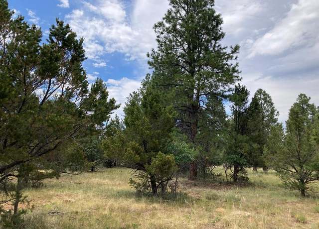 Property at Lot 422 (TBD) South Badger Trl, Ridgway, CO 81432