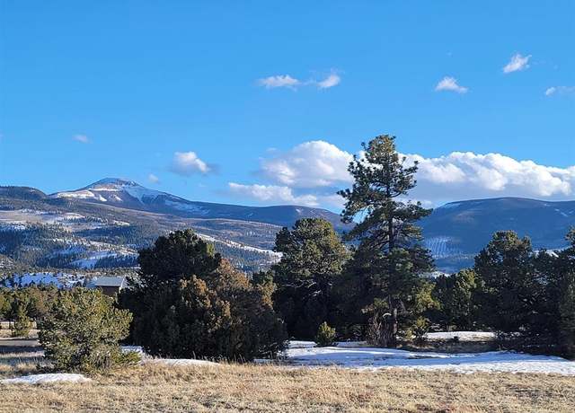 Property at 4413 Bear Creek Cir, South Fork, CO 81154