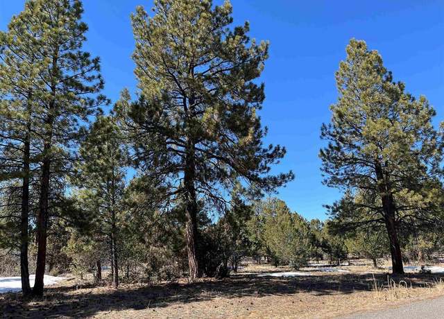 Property at TBD Badger Trail South, Ridgway, CO 81432