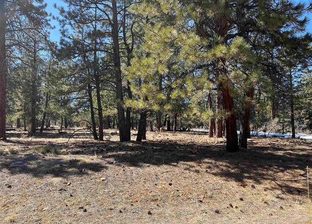 Property at TBD Badger Trail South, Ridgway, CO 81432