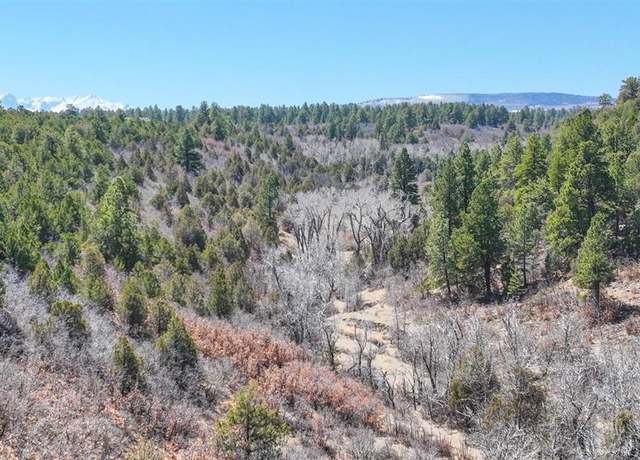 Property at TBD Wild Poppy Rd, Montrose, CO 81403