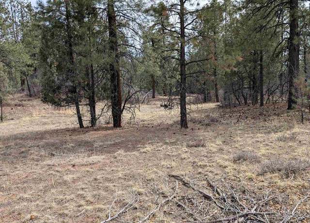 Property at 216 Allison Pl, Pagosa Springs, CO 81147