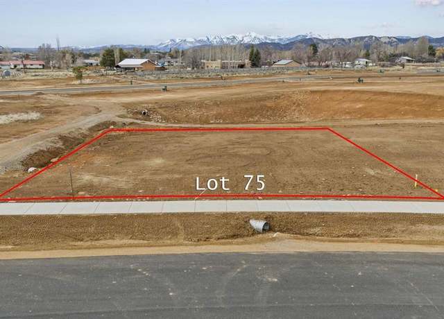 Property at 113 Cielo Way, Durango, CO 81303