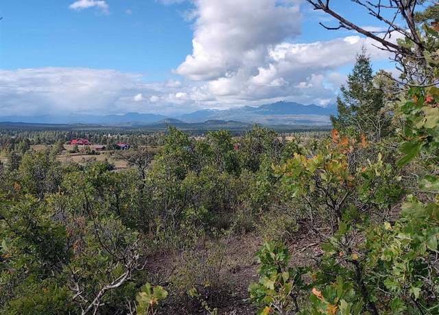 Property at 672 Carino Pl, Pagosa Springs, CO 81147