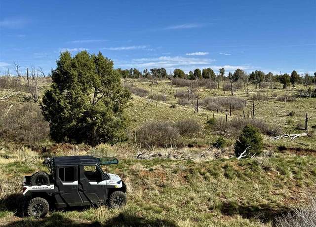 Property at TBD Cr 116, Hesperus, CO 81326