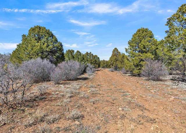 Property at TBD Dave Wood Rd, Montrose, CO 81403