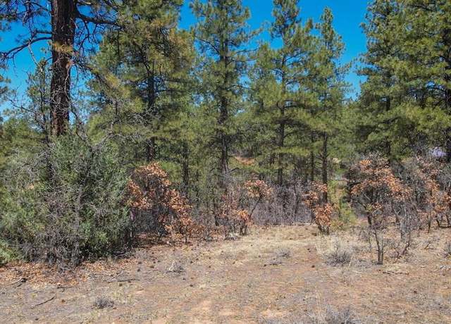Property at 87 Engineer Pt, Pagosa Springs, CO 81147