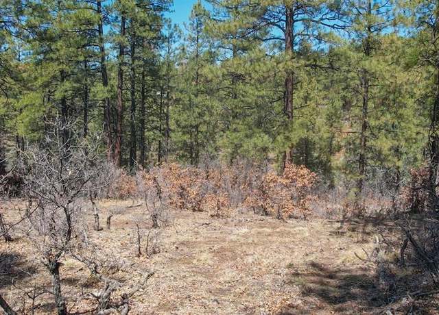 Property at 121 Engineer Pt, Pagosa Springs, CO 81147