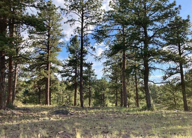 Property at Lot 10 Poplar Pl, Ridgway, CO 81432