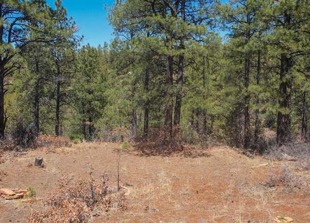 Property at 149 Engineer Pt, Pagosa Springs, CO 81147