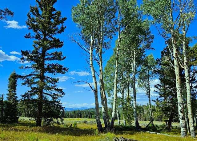 Property at 284 Aspen Trl, Cimarron, CO 81220