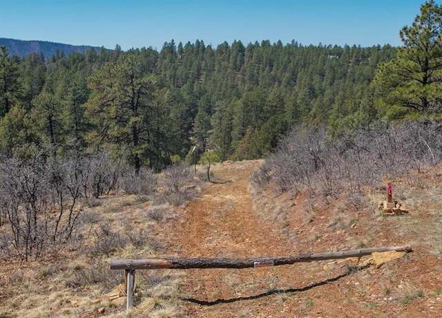 Property at 154 Engineer Pt, Pagosa Springs, CO 81147