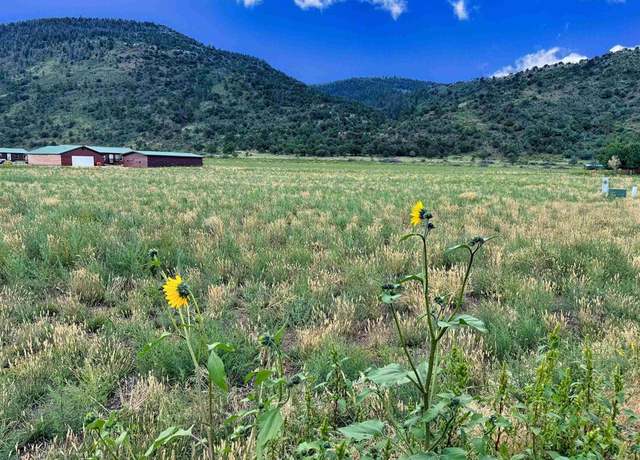 Property at tbd Hidden View Dr, South Fork, CO 81154