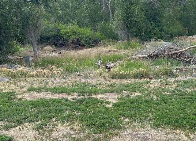 Property at 720 SE Stonebridge Dr, Cedaredge, CO 81413