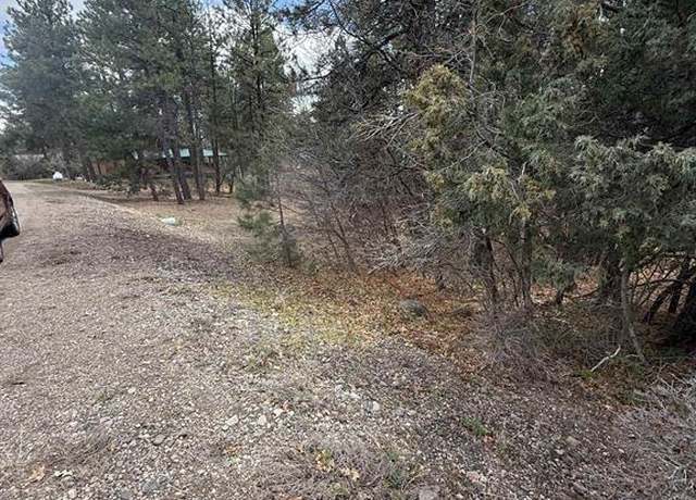 Property at 123 Granada Dr, Pagosa Springs, CO 81147